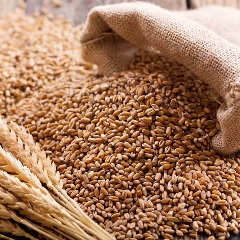 Sonamoti wheat flour texture close up