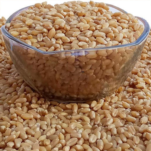 Sehore Premium Wheat Flour